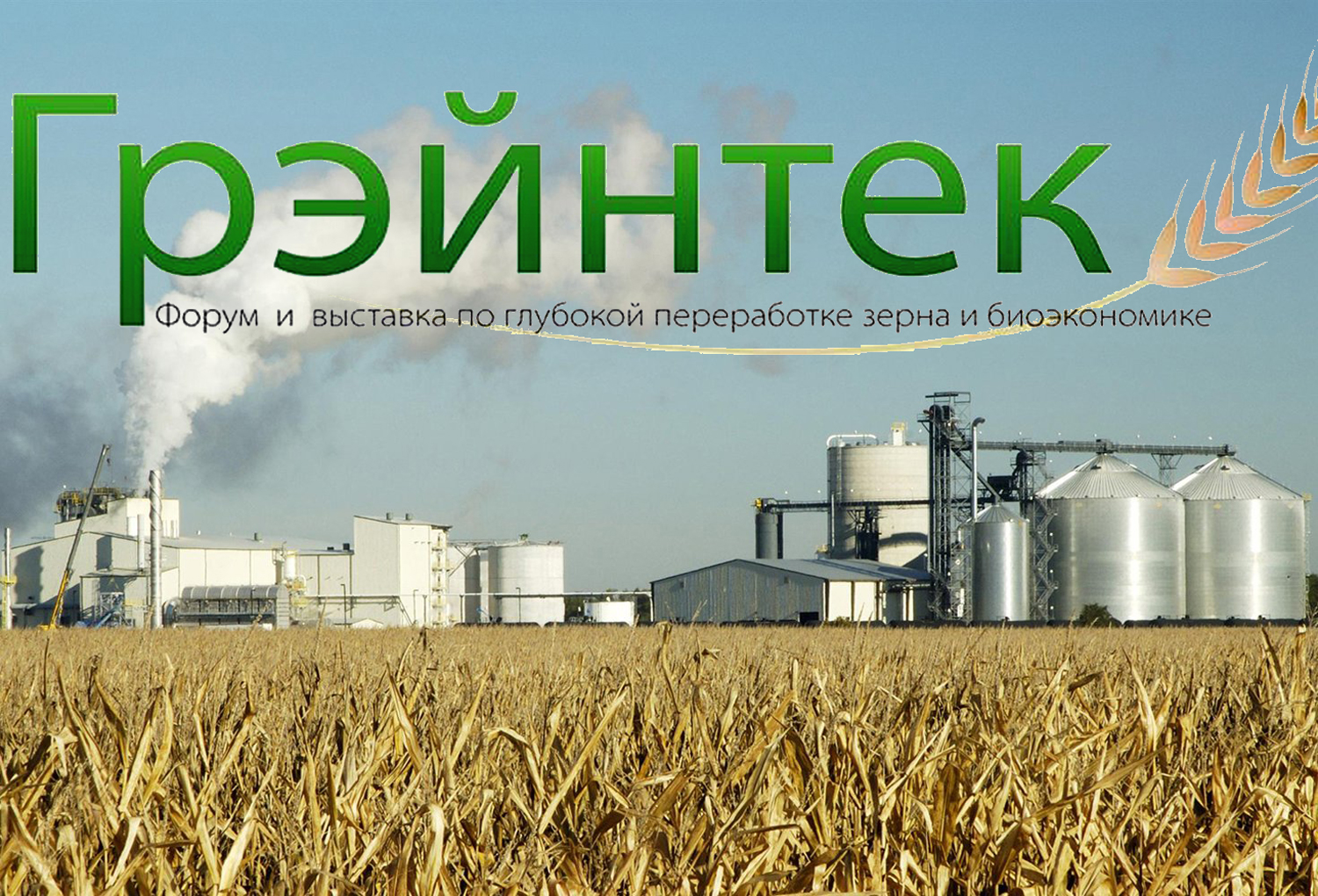 Форум «Грэйнтек-2022»: эксперт FEEDLOT Любовь Савкина рассказала о перспективах замещения кормовых аминокислот и витаминов российскими производителями