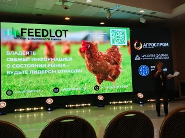 IMG_20260120_161820_234