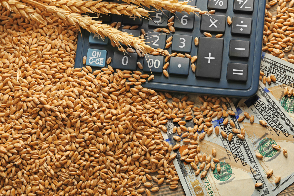 Средние цены производителей на зерновые культуры по итогам 2022 года