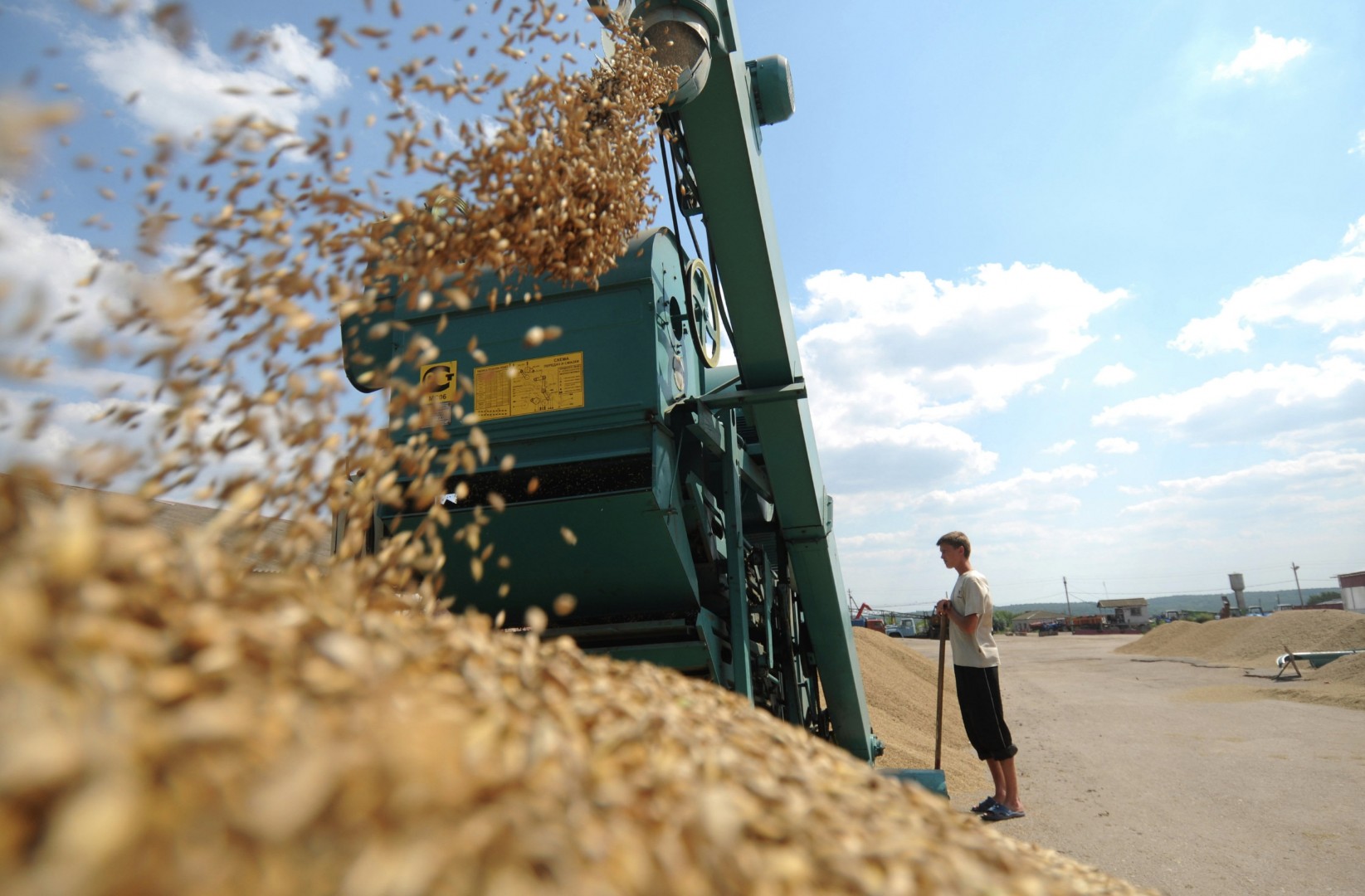 В апреле цены на зерно снизились на 2,5%