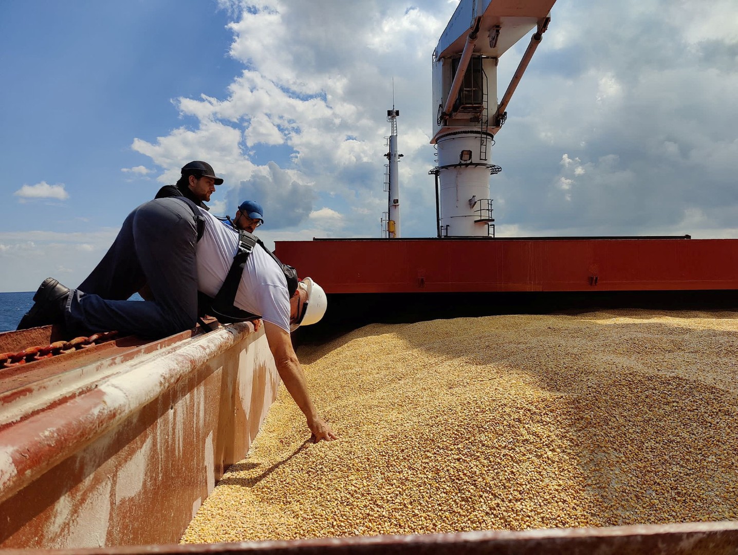 Объем закупок зерна в госфонд составил 1,08 тыс. тонн. В понедельник закупали только пшеницу