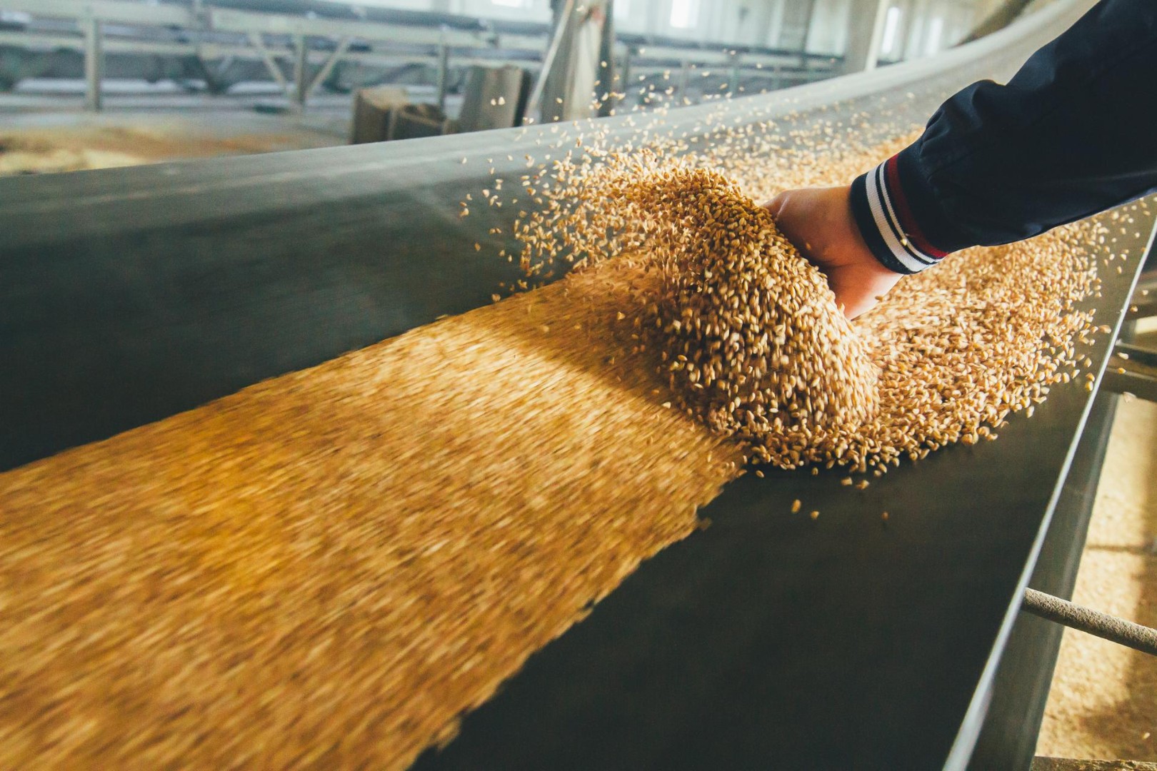 Средние цены производителей на зерновые культуры в январе 2023 года