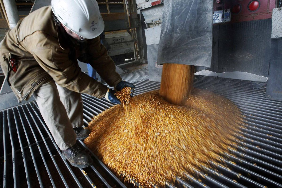 Россия снижает экспортные пошлины на пшеницу