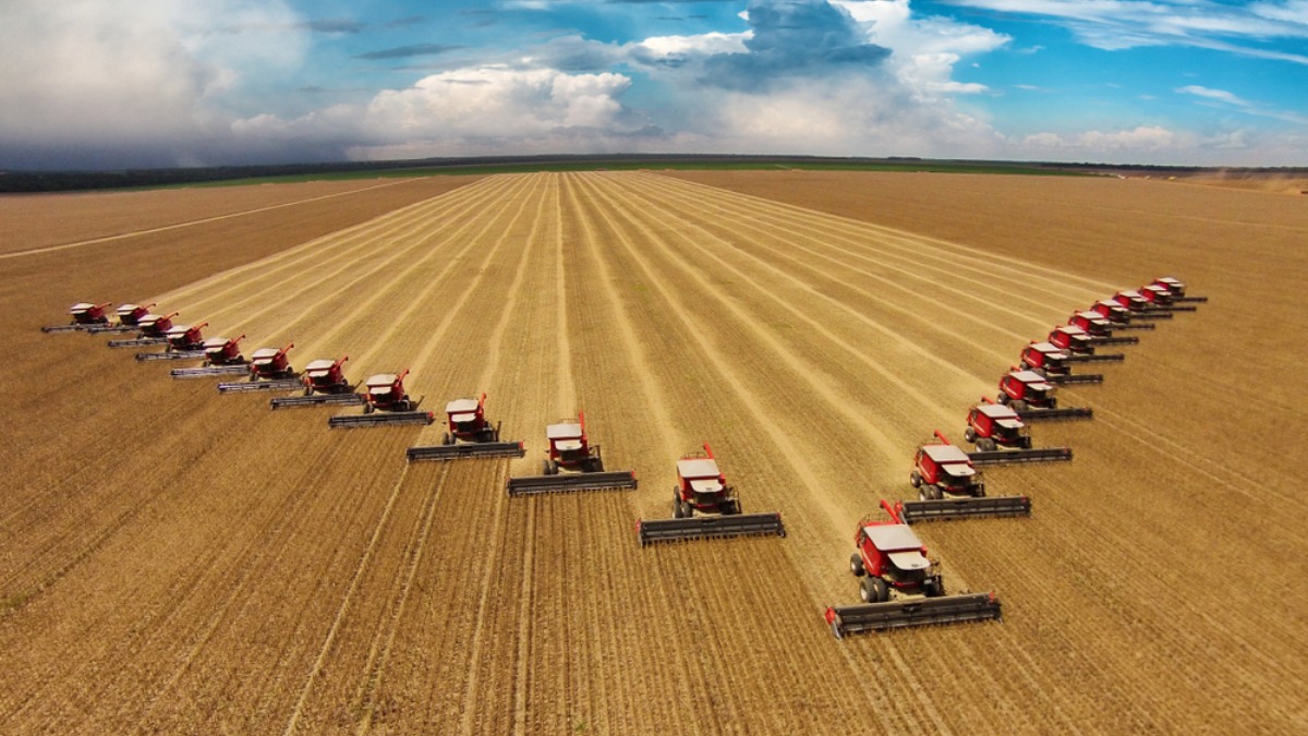 Казахстан нарастил поставки пшеницы в Европу