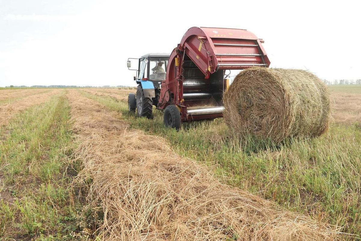 Более 100 тысяч тонн сена, сенажа и силоса уже заготовлено на Среднем Урале