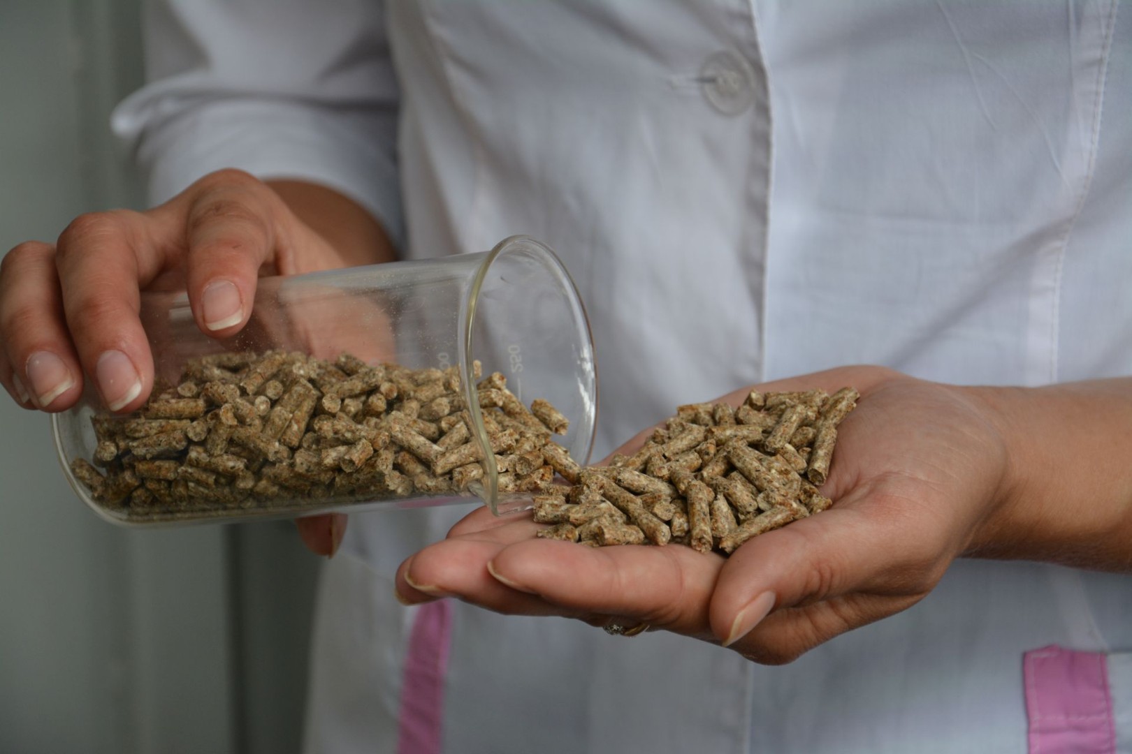 В Россельхознадзоре назвали основные нарушения при производстве кормов