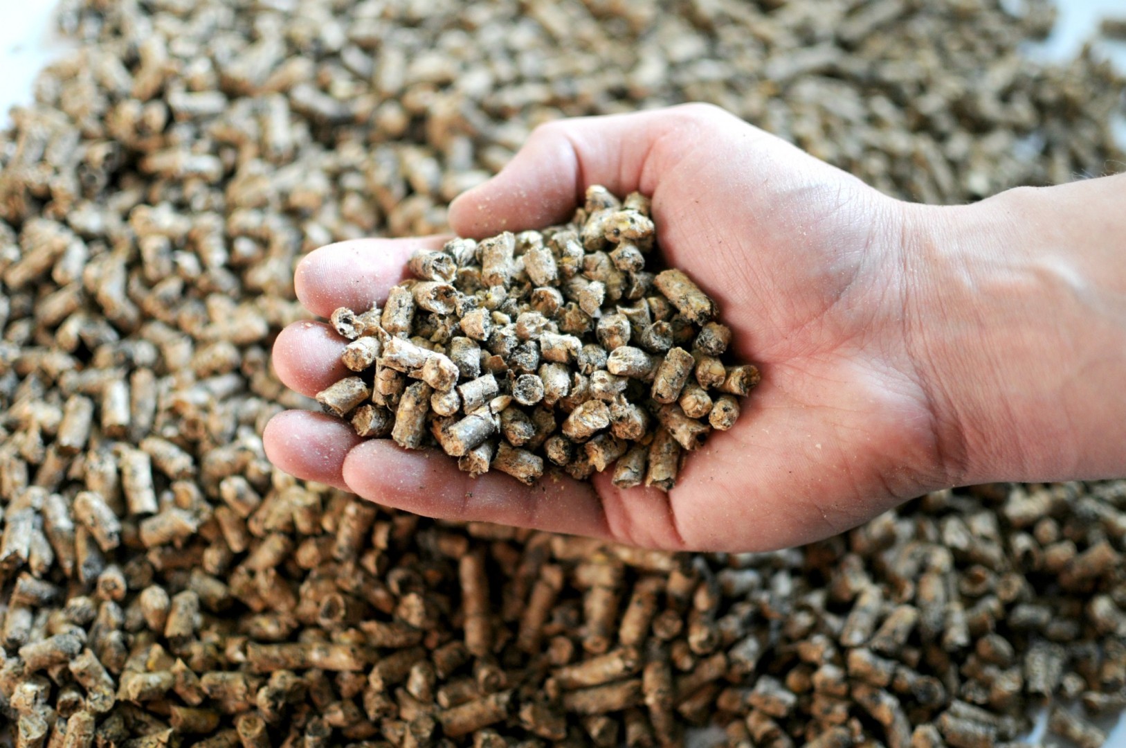 FEEDLOT: Цены на комбикорма в РФ за 7 месяцев упали на 19%, на премиксы – на 14%