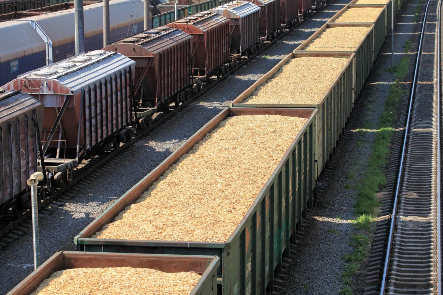 Словакия в 2023 году обеспечит транзит 1 млн тонн зерна с Украины