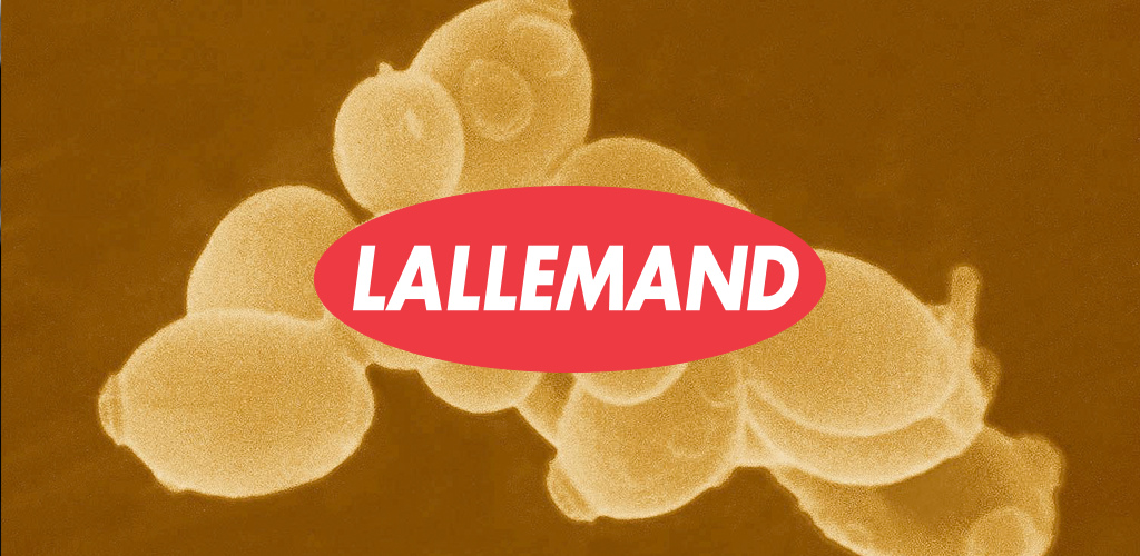 Lallemand отметила столетие производства дрожжей в Монреале