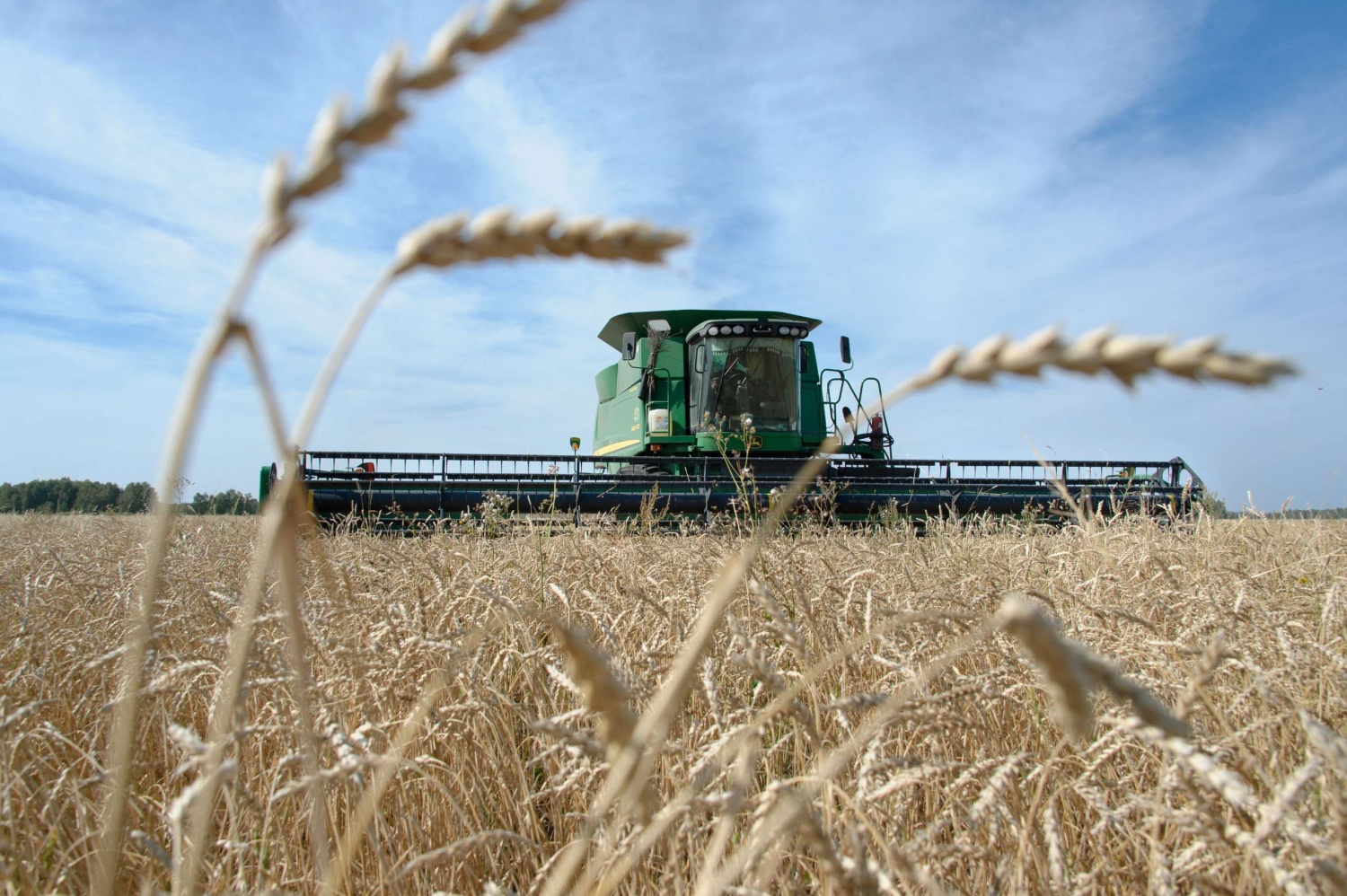 На поддержку производителей зерна правительство выделило ещё 10 млрд руб.