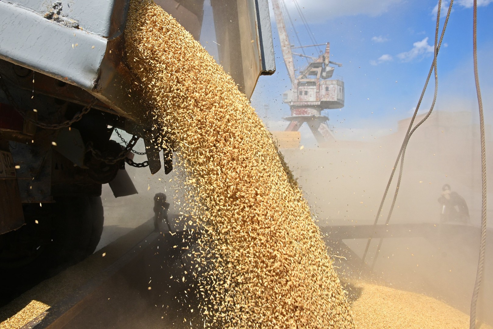 Красноярскую пшеницу впервые отгрузили в Монголию и Южную Корею