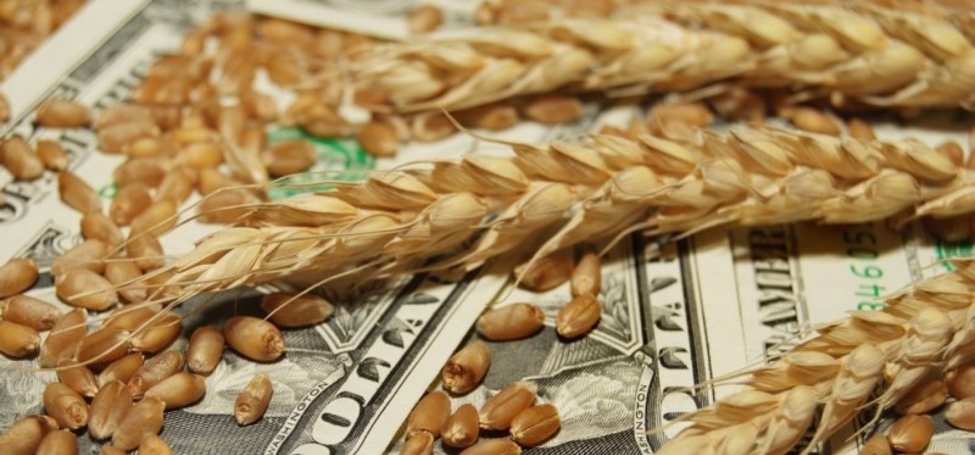 На бирже CBOT резко выросли цены на пшеницу