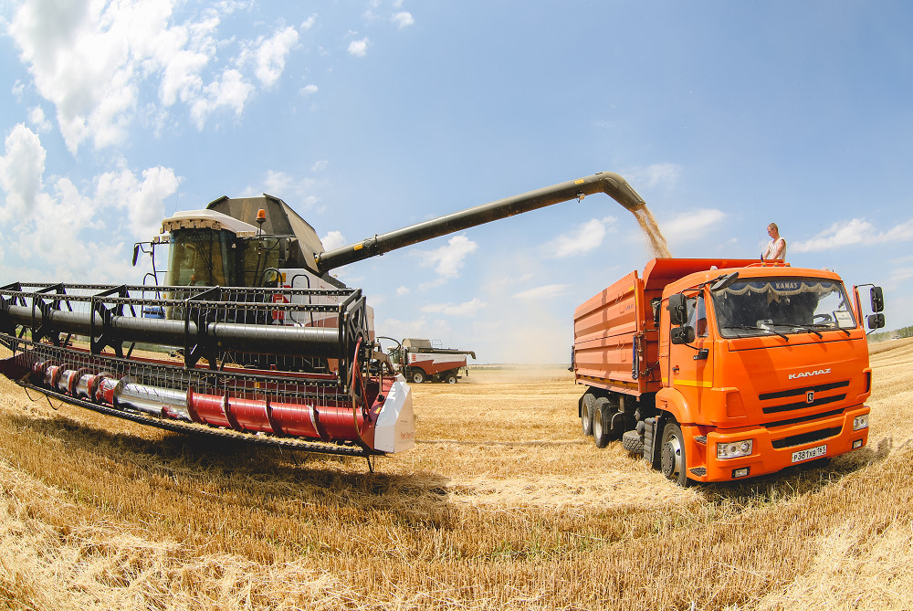 На каждую тонну реализованного в Чувашии зерна государство выплатило аграриям около 1,5 тыс. рублей