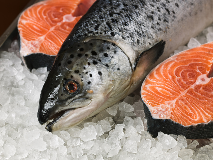 Ученые посоветовали добавлять в корма для лосося масло канолы с высоким содержанием омега-3 жирных кислот