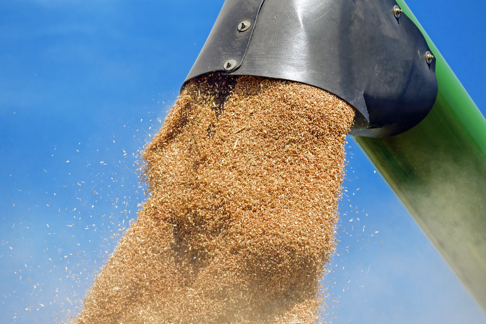 Россельхознадзор и Агентство пищевой безопасности Азербайджана обсудили вопросы поставок российского зерна