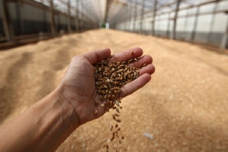 Крупнейший российский экспортер зерна купил предприятие в Ростовской области