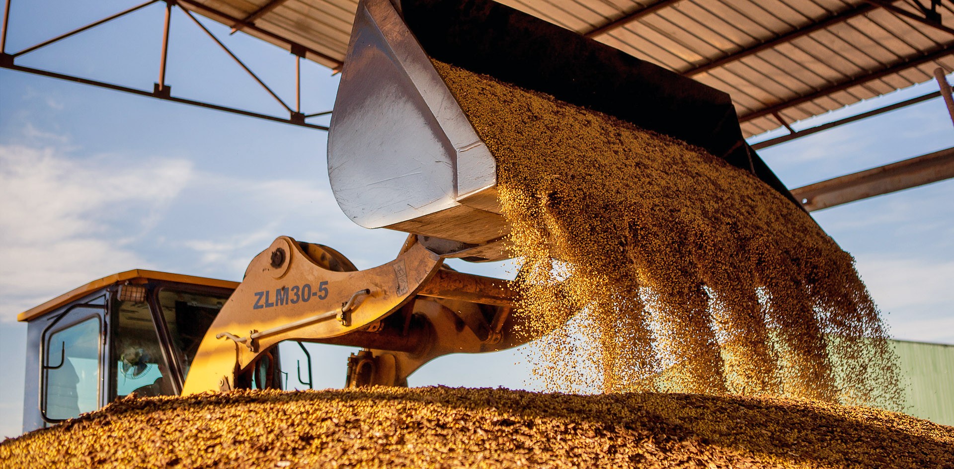 Пошлина на экспорт пшеницы из России с 28 февраля снизится на 3,9%