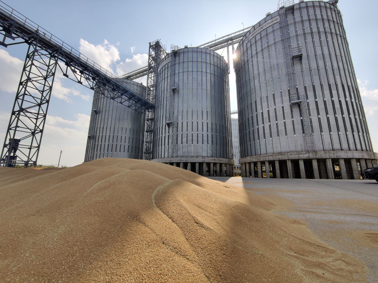 В Амурской области в 2027 году введут элеватор для перевалки зерна