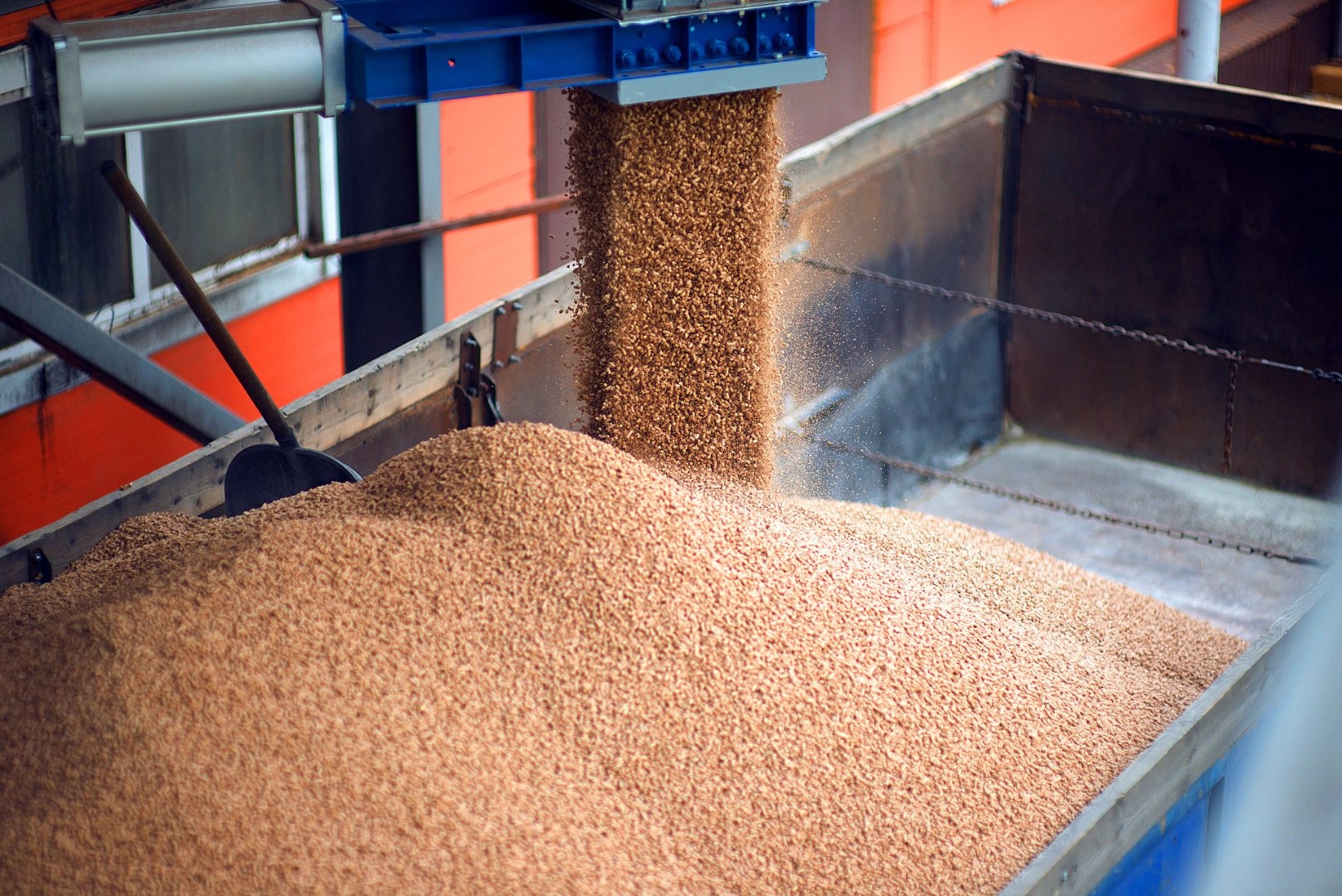 Эксперт сообщил, что цены на сибирскую пшеницу выросли из-за неурожая в Казахстане