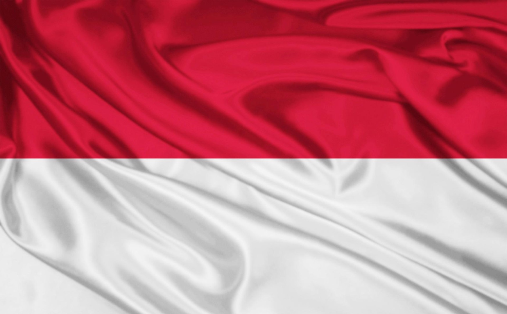 Сокращающийся рынок бросает вызов независимым комбикормовым заводам в Индонезии