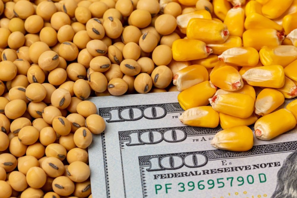CoBank: Цены на зерно и масличные культуры продолжают снижаться