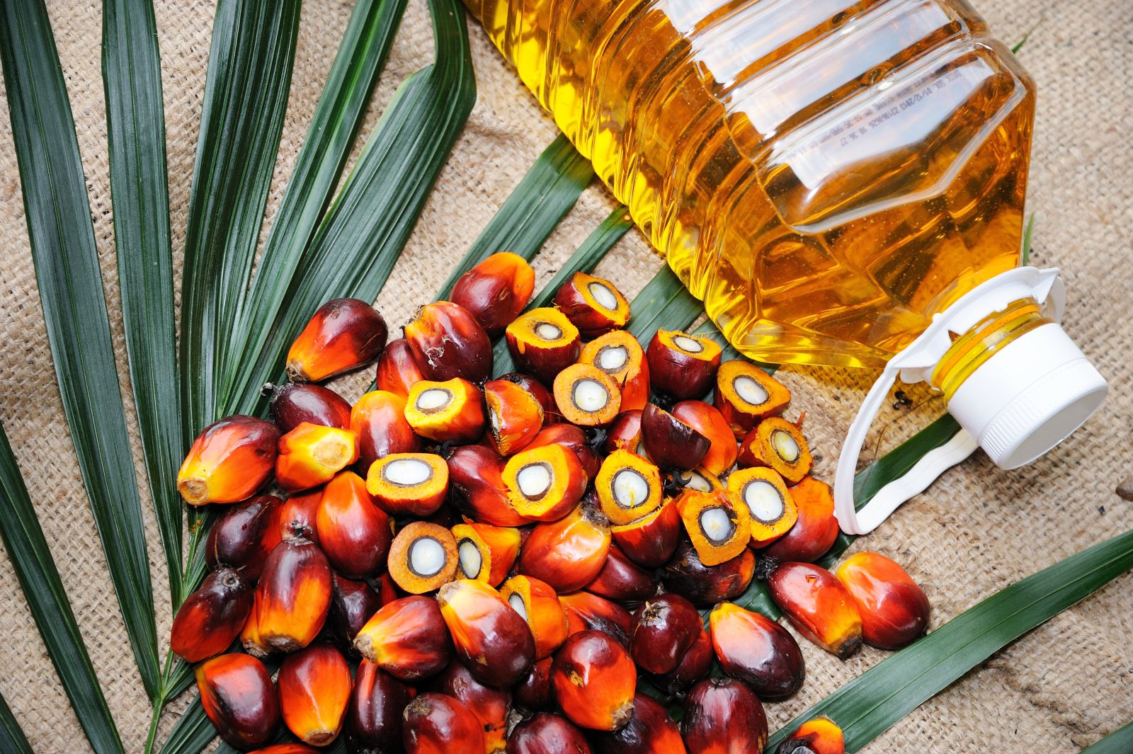 Цена пальмового масла пытается вернуть тенденцию к росту