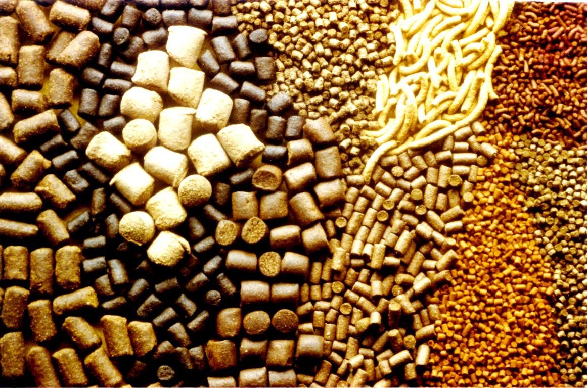 Группа «Черкизово» вернулась на первое место по производству комбикормов