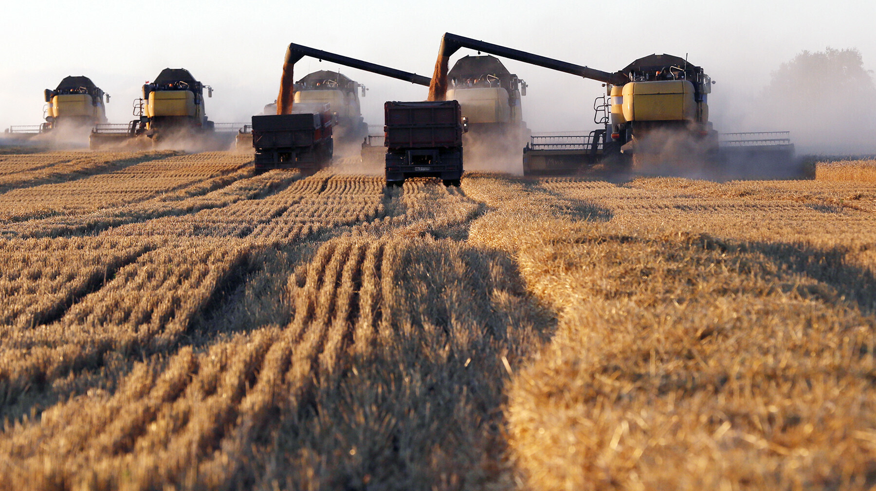 В Иркутской области планируют собрать около 900 тыс. тонн зерна