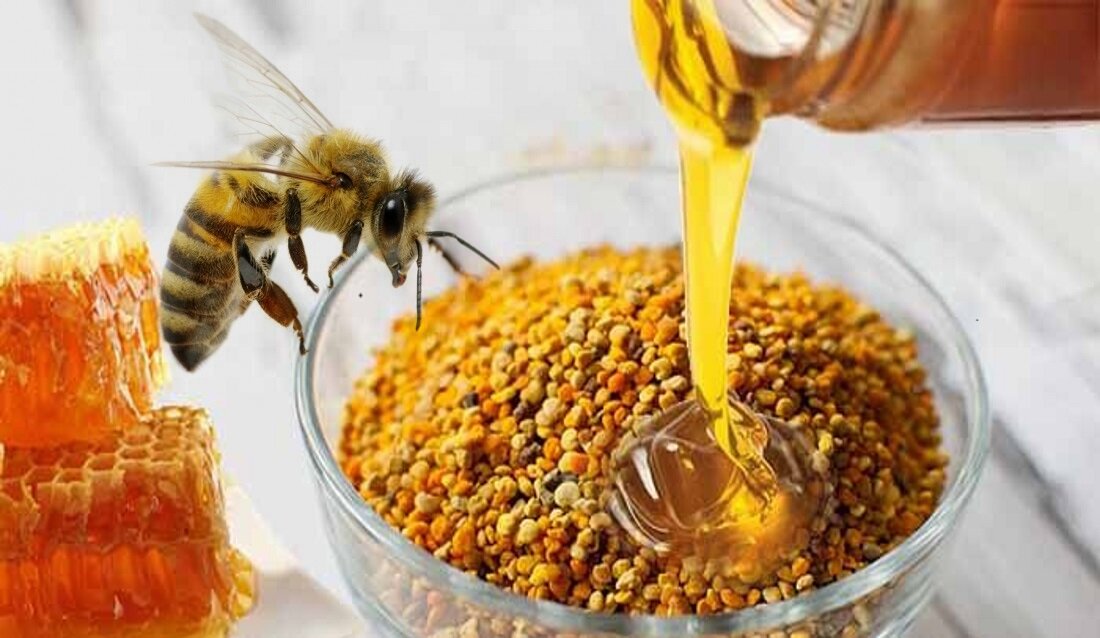 В Тимирязевской академии разрабатывают альтернативу кормовым антибиотикам на основе продуктов пчеловодства