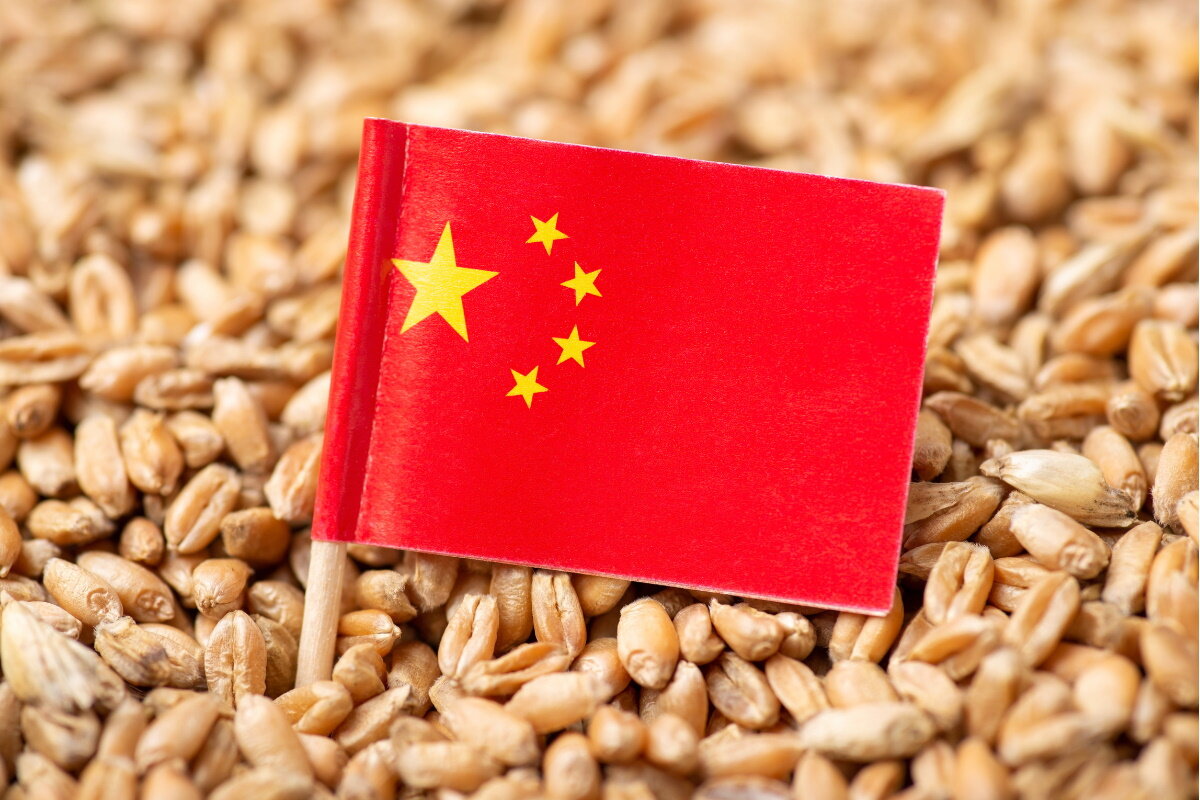 Падение спроса на пшеницу и кукурузу в Китае может обрушить мировые рынки
