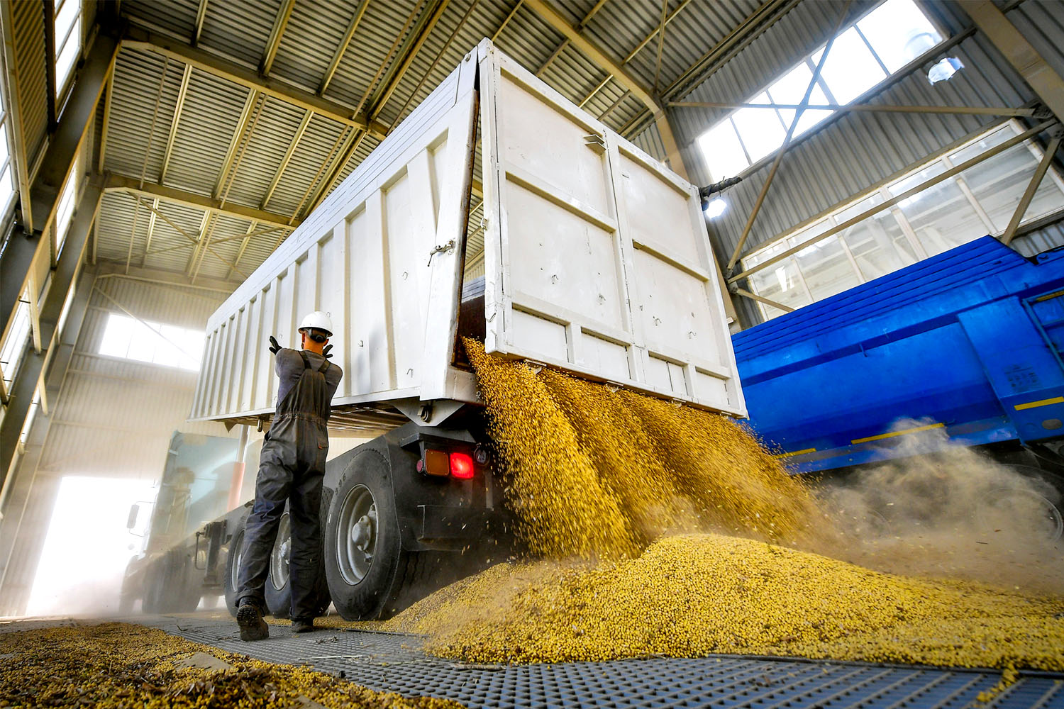 В Татарстане отгружена партия пшеницы на экспорт в Египет