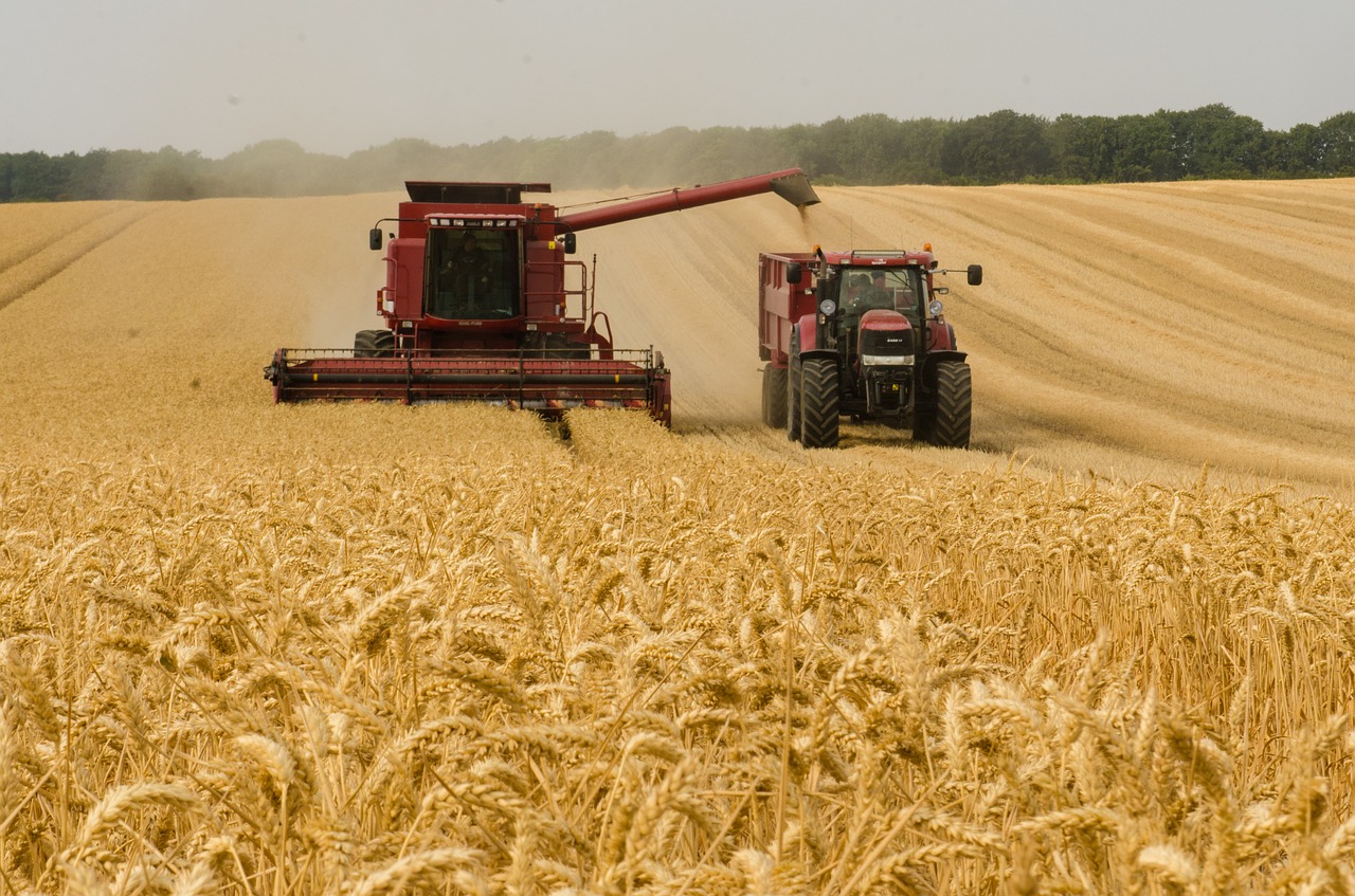 Минсельхоз ожидает роста экспорта зерна к 2030 году до 81 млн тонн
