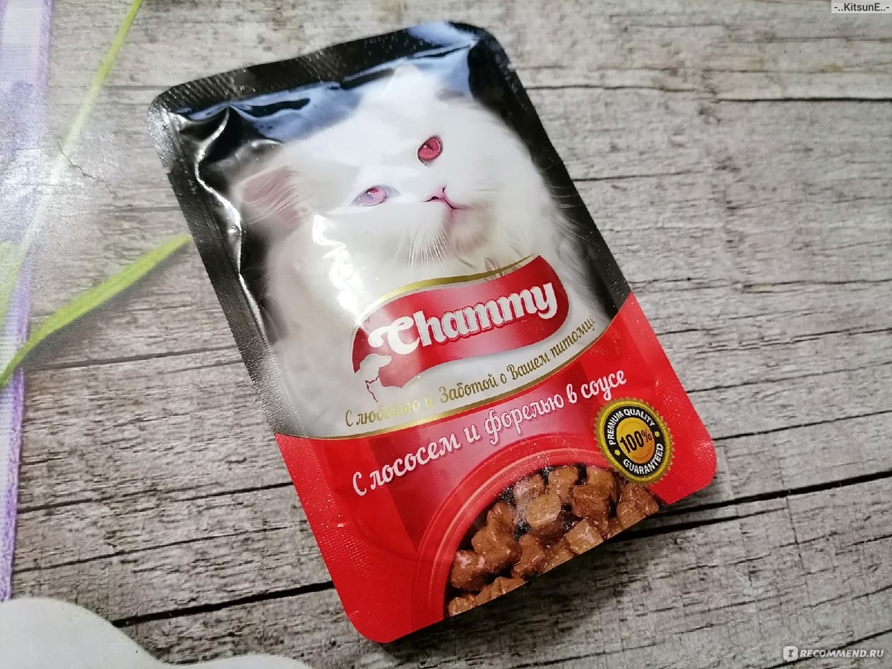 Опасный яд обнаружили в упаковках корма для животных бренда Chammy