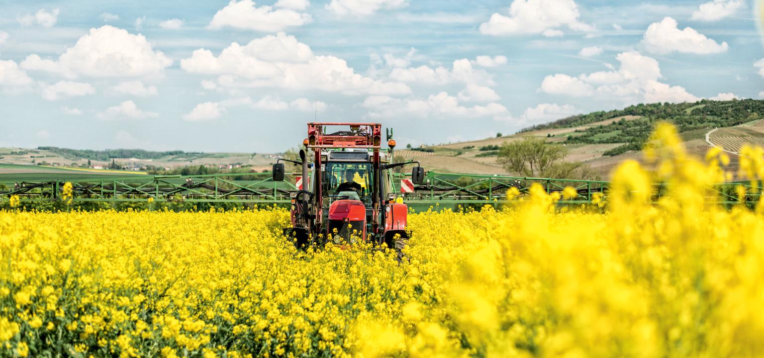 Аграрии Чувашии приступили к уборке масличных культур