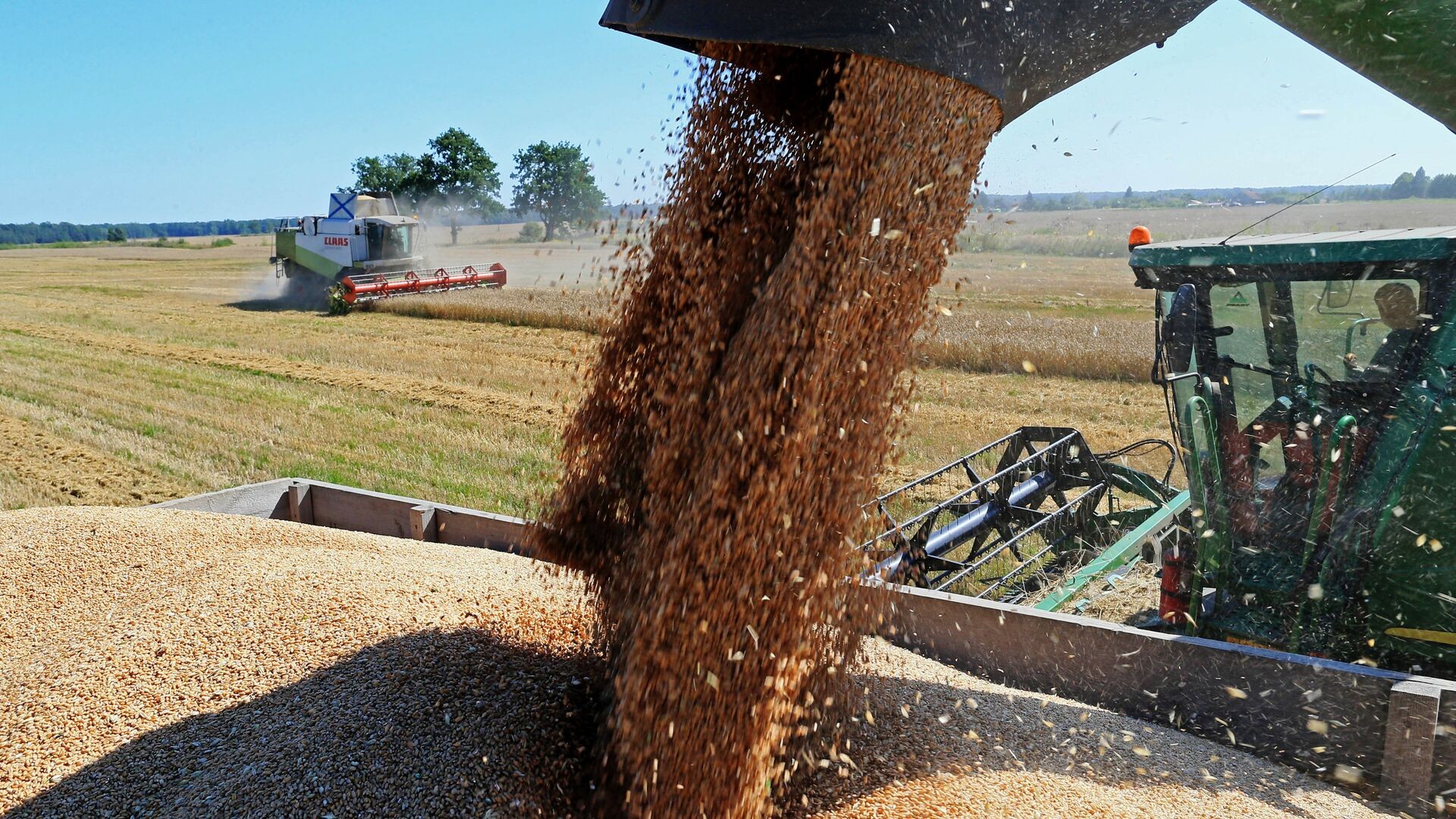 Саудовская Salic через покупку сингапурской Olam Agri получит агроактивы в РФ