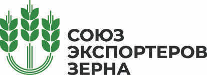 Гендиректор ОЗК Дмитрий Сергеев может возглавить Союз экспортеров зерна