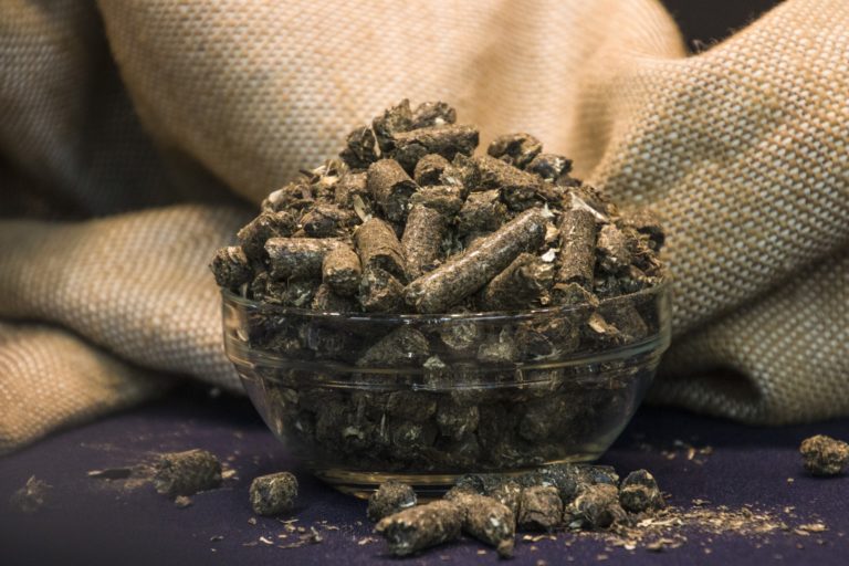 Залегощенский сахарный завод получил право экспортировать корма растительного происхождения в ряд стран