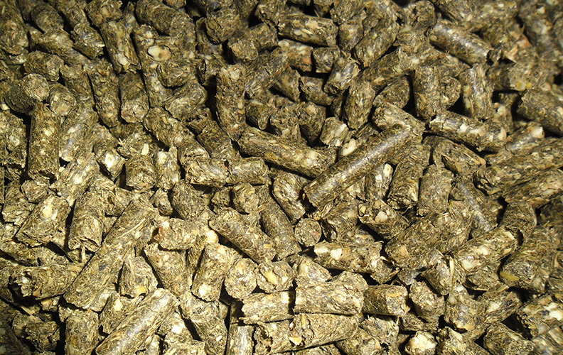 Гранулированную травяную муку отправят на экспорт в Армению