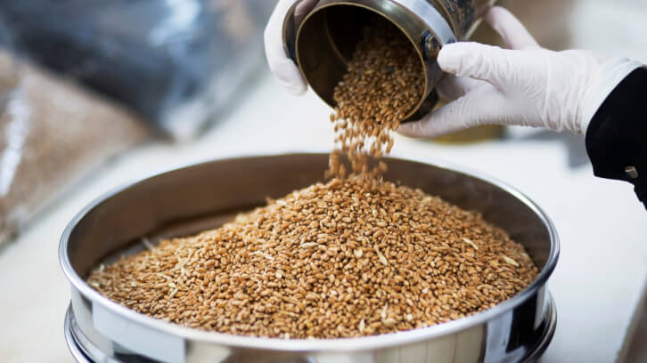 Власти Дагестана разрабатывают программу восстановления «Шамхалхлебопродукта»