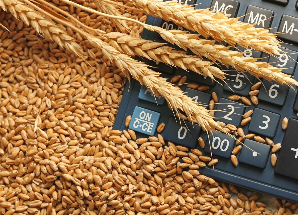 Весной цены на пшеницу могут прибавить $20