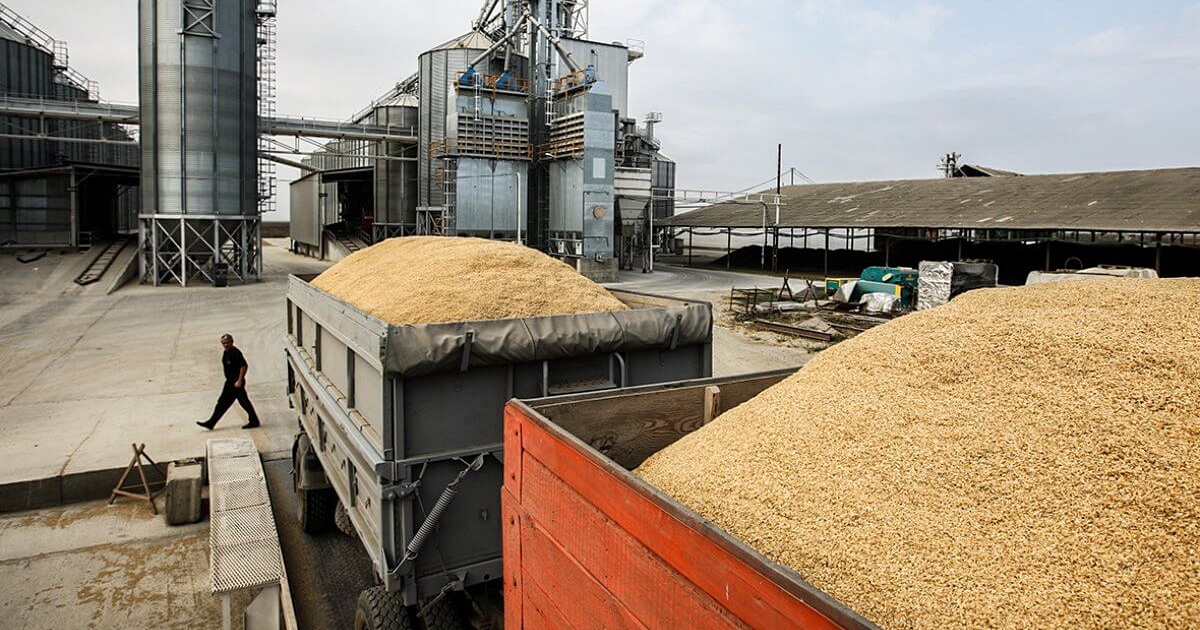 Из Чеченской Республики экспортировано 3,8 тысячи тонн зерновой продукции в страны Ближнего Востока и Закавказья