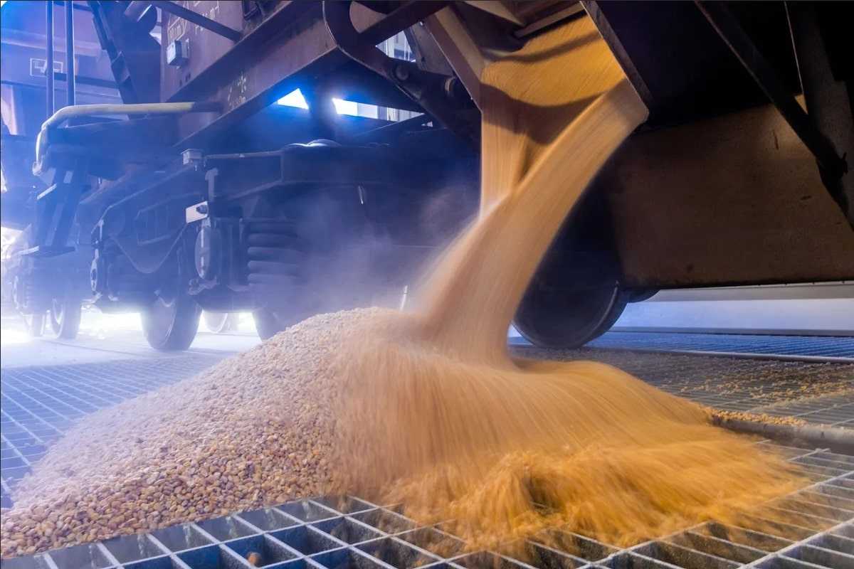 Средние цены производителей на зерновые культуры за январь-март 2025 года