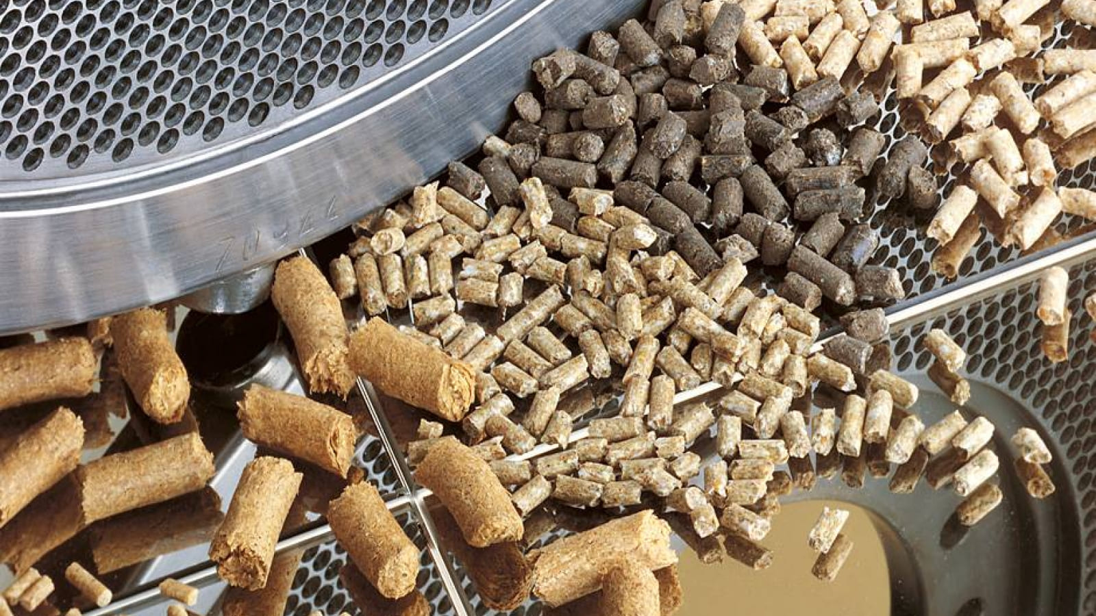 Томский агрохолдинг «Сибагро» окончательно закрыл комбикормовый завод в Асино