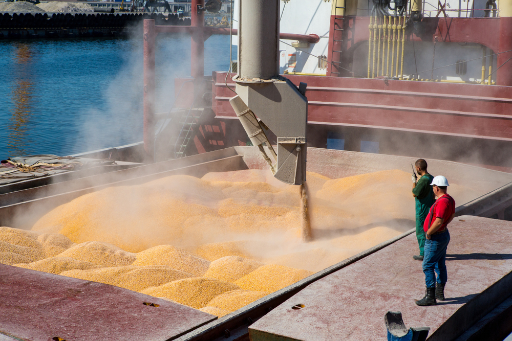 МСЗ снизил прогноз экспорта пшеницы из РФ в новом сезоне до 43 млн тонн