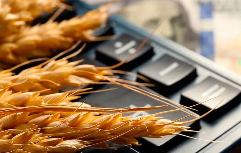 В России снижается пошлина на экспорт пшеницы