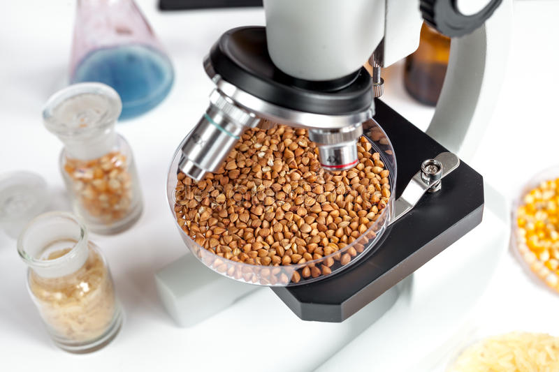 В Приморском филиале ФГБУ «НЦБРСП» провели более 20 тысяч исследований кормов для сельхозживотных