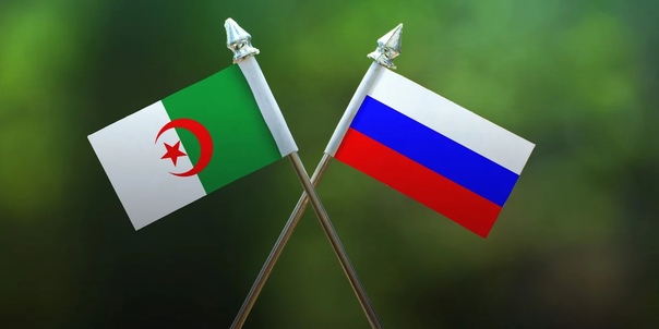 Делегация из Алжира знакомится с российской системой карантинного фитосанитарного контроля