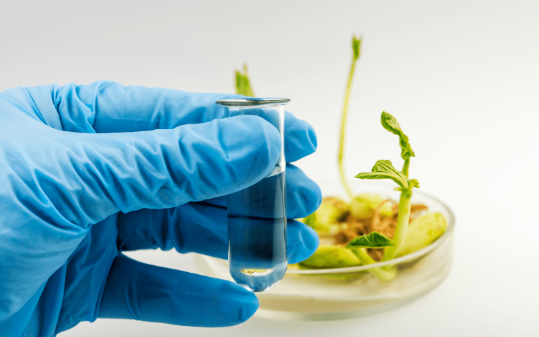 ВНИИ сои договорились о создании совместной лаборатории с сельскохозяйственным университетом Китая