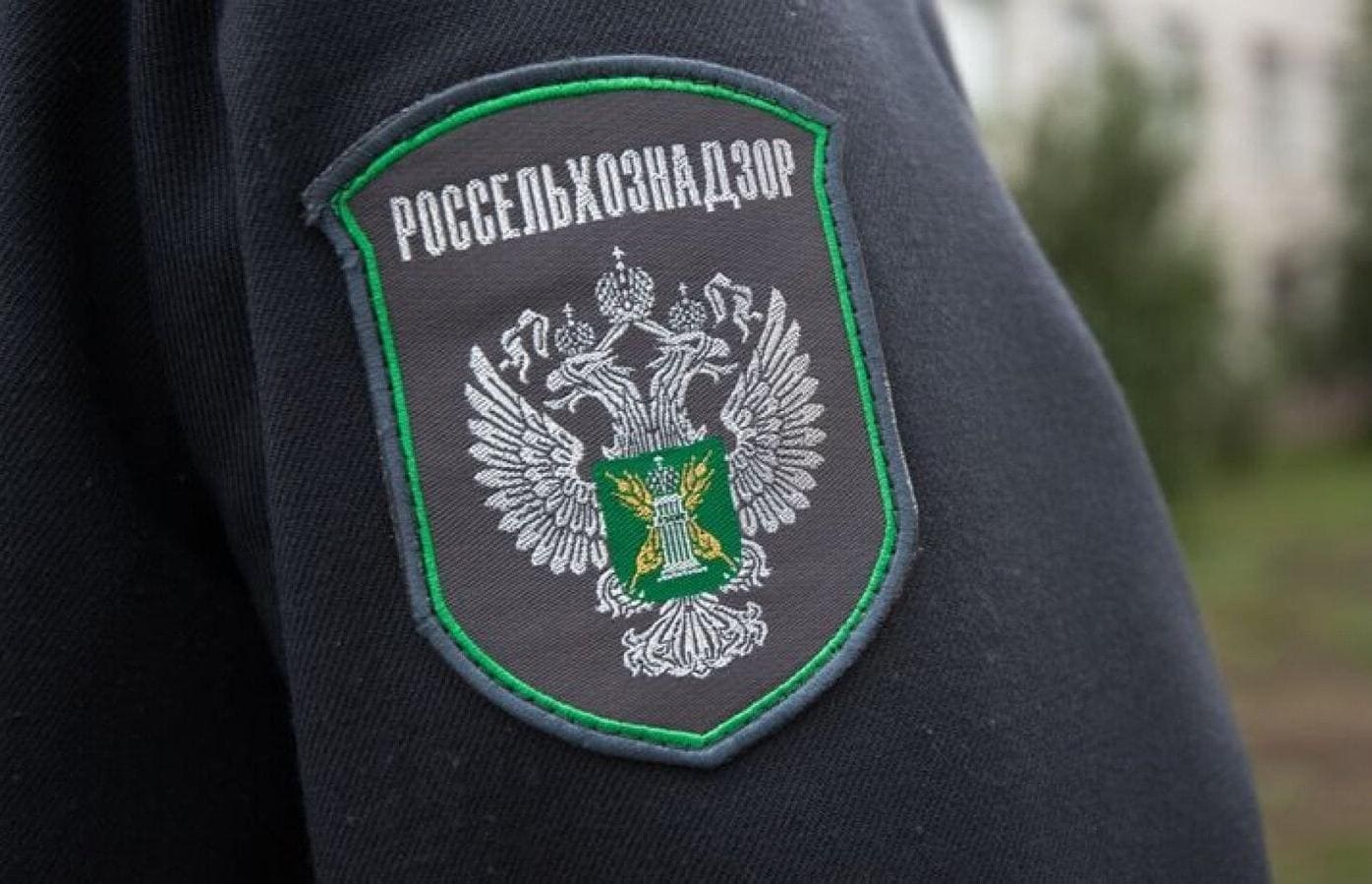 Под контролем Россельхознадзора в Бангладеш отправлена первая партия кормов для непродуктивных животных из Курской области