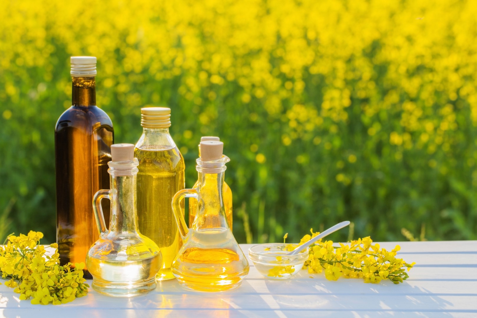 Масложировой союз ждет рекордного урожая масличных в России в 2025 году